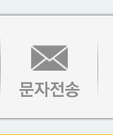 문자전송